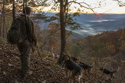 Why Hound Hunting Is Different from Other Hunting