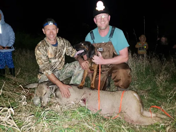 DEER TRACKING DOG