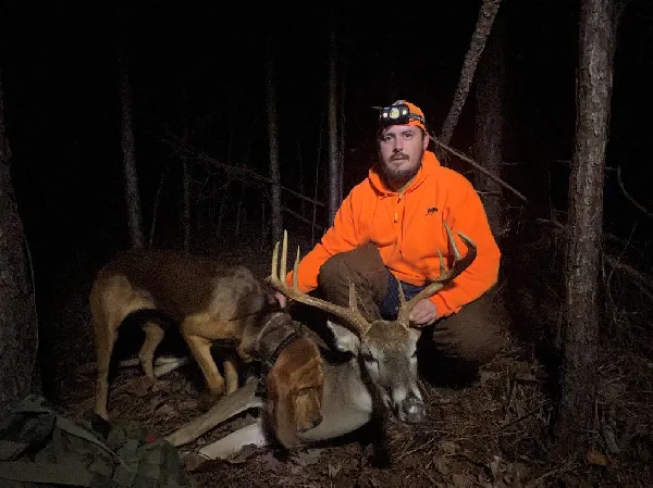 TRACKING DOGS FOR FINDING WOUNDED GAME