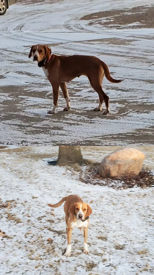 35/64 WALKER, 29/64 JULY