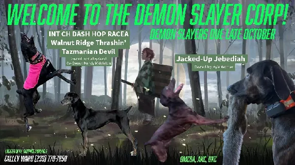 OMCBA/AKC FSS MOUNTAIN CUR PUPPIES