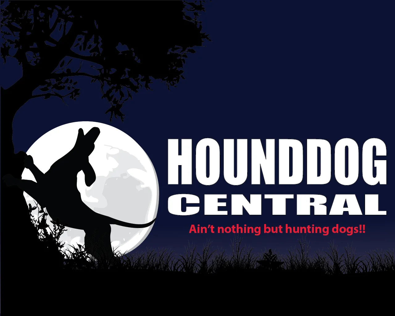 Welcome to Hounddog Central