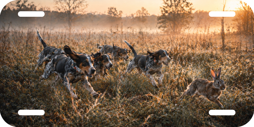 Beagle Rabbit Chase Aluminum License Plate – Vinyl Graphic